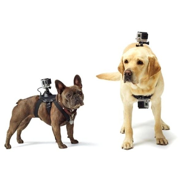 Original PULUZ GoPro pas za psa, črni